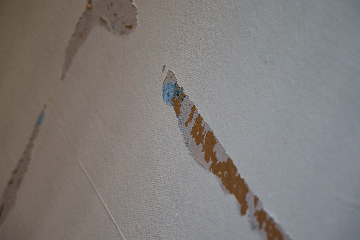 Sewage Cleanup service in West Des Moines, IA